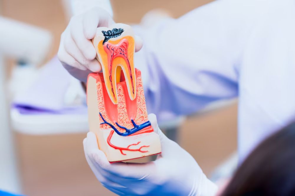 signs-its-time-for-a-root-canal-and-why-you-should-see-a-dentist