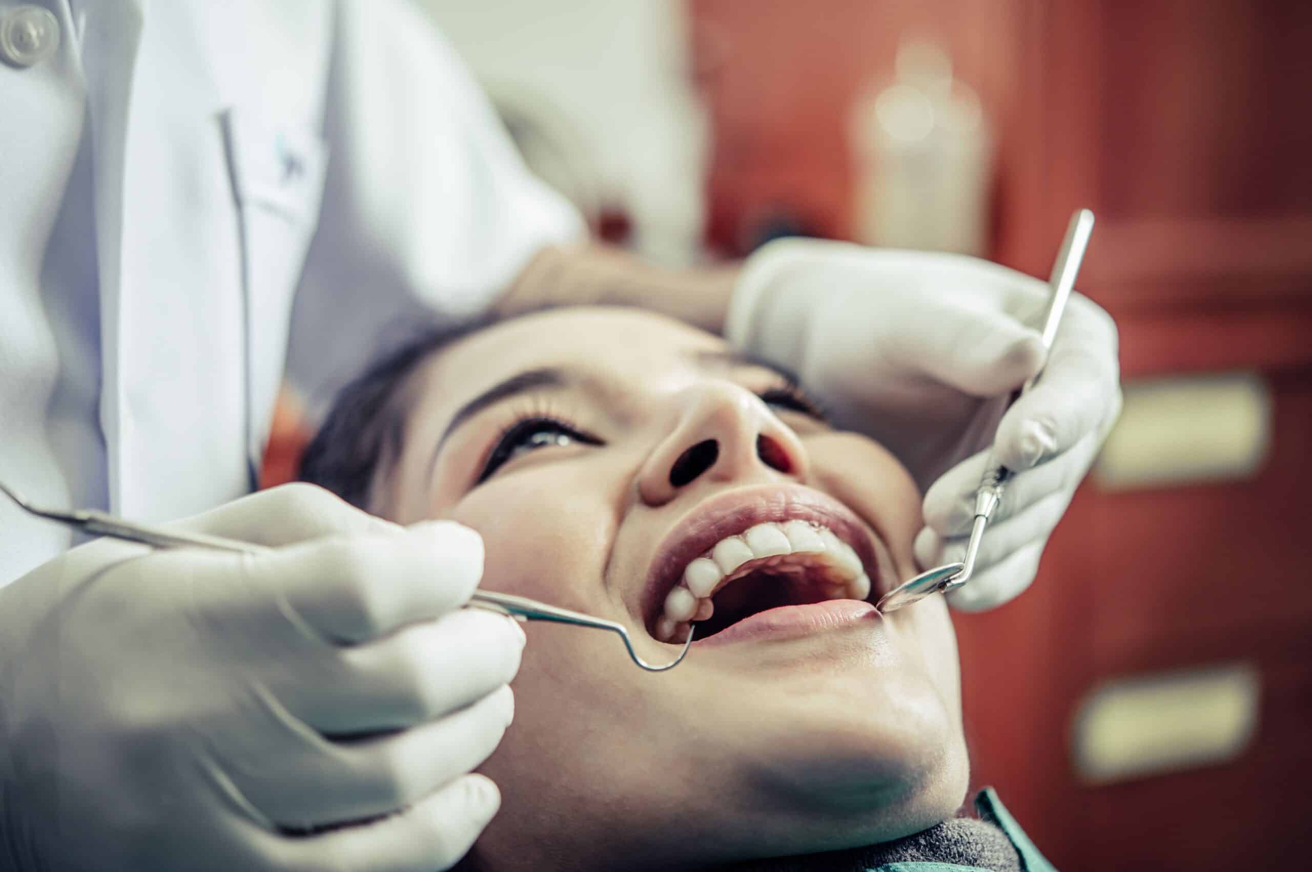 dentist near dalhousie